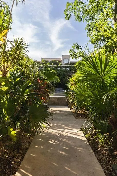 Mistiq Design Studio Gympoolrest Tulum Mexico